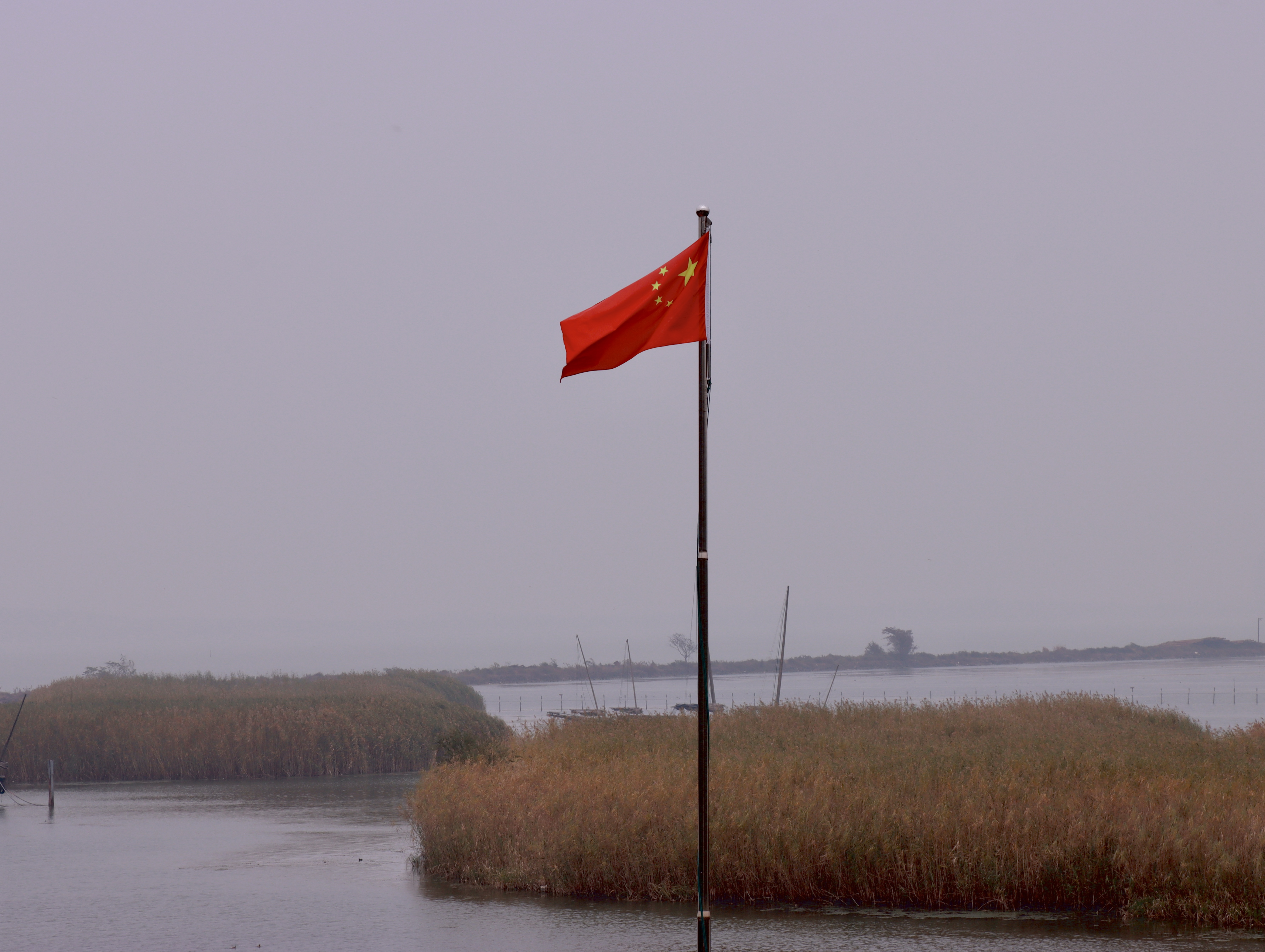 202211212329056312.jpg 202211212329056312.jpg