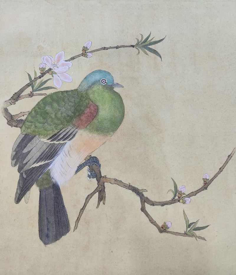 刘苏莹 &nbsp; 指导教师：黄玉兰